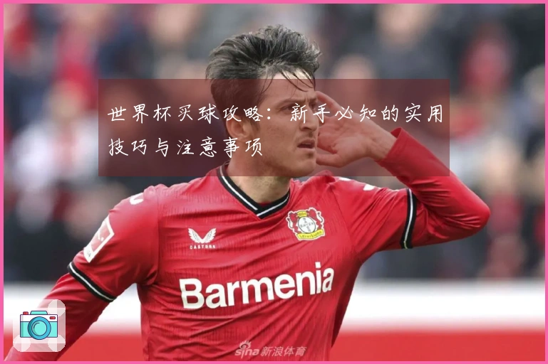 世界杯买球攻略：新手必知的实用技巧与注意事项