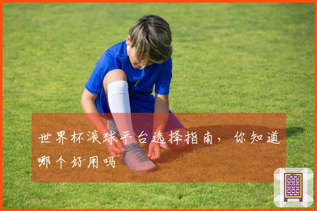 世界杯滚球平台选择指南，你知道哪个好用吗