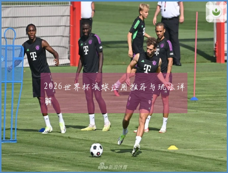 2026世界杯滚球应用推荐与玩法详解