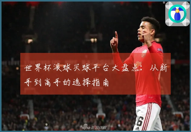 世界杯滚球买球平台大盘点：从新手到高手的选择指南