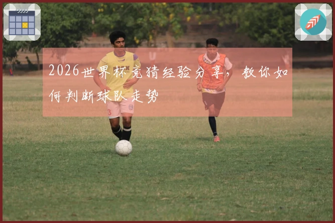 2026世界杯竞猜经验分享，教你如何判断球队走势
