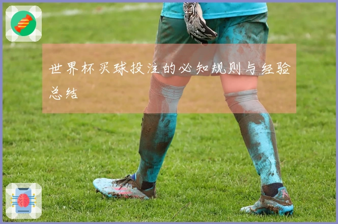 世界杯买球投注的必知规则与经验总结
