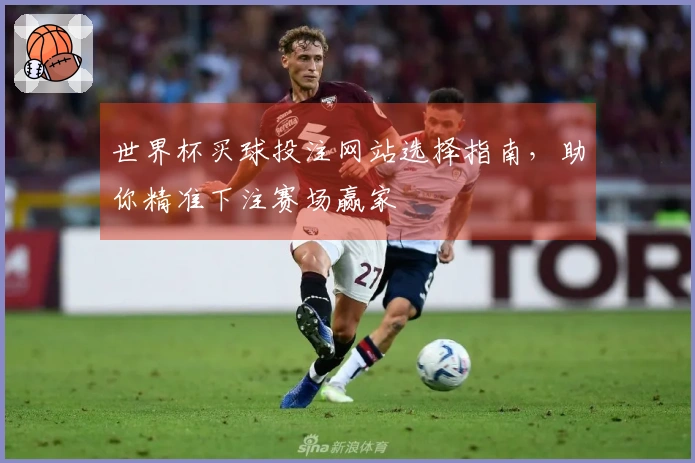世界杯买球投注网站选择指南，助你精准下注赛场赢家