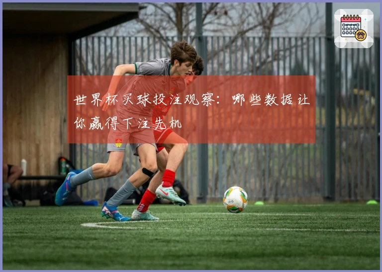 世界杯买球投注观察：哪些数据让你赢得下注先机