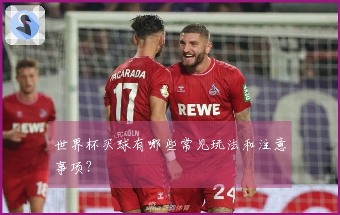 世界杯买球有哪些常见玩法和注意事项？