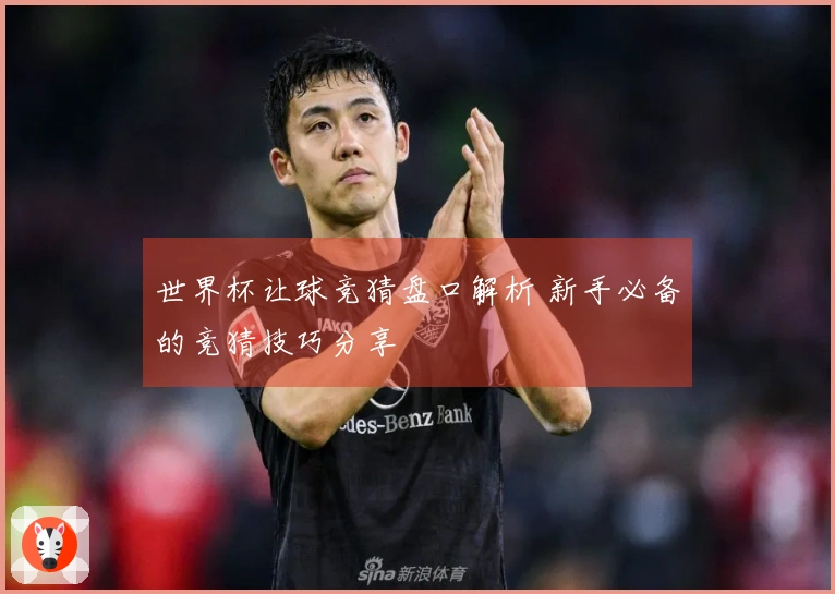 世界杯让球竞猜盘口解析 新手必备的竞猜技巧分享