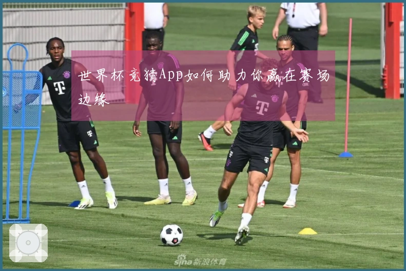 世界杯竞猜App如何助力你赢在赛场边缘