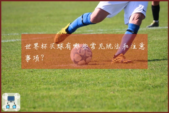 世界杯买球有哪些常见玩法和注意事项？