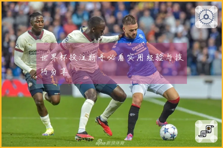 世界杯投注新手必看实用经验与技巧分享