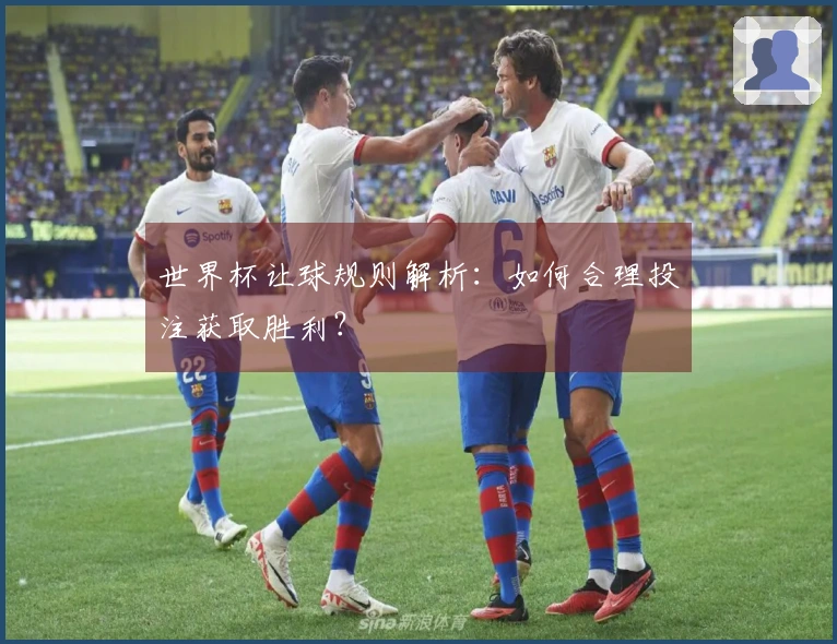 世界杯让球规则解析：如何合理投注获取胜利？