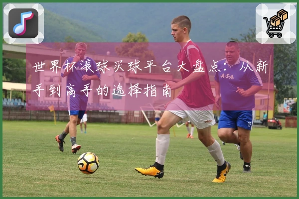 世界杯滚球买球平台大盘点：从新手到高手的选择指南