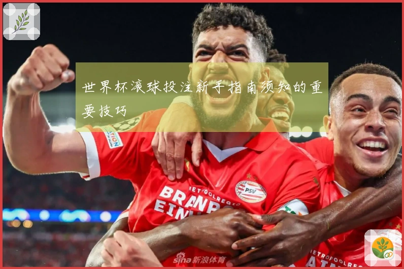 世界杯滚球投注新手指南须知的重要技巧