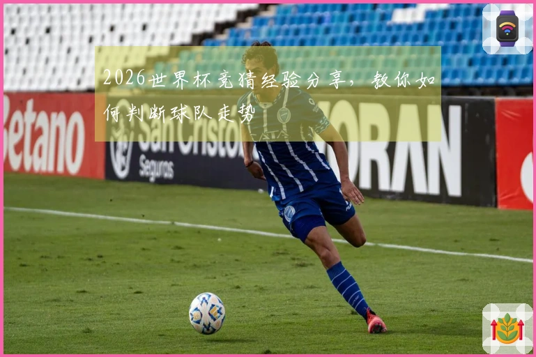 2026世界杯竞猜经验分享，教你如何判断球队走势