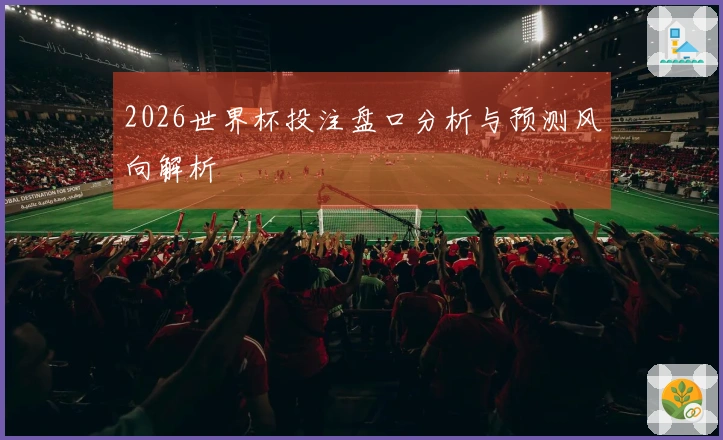 2026世界杯投注盘口分析与预测风向解析